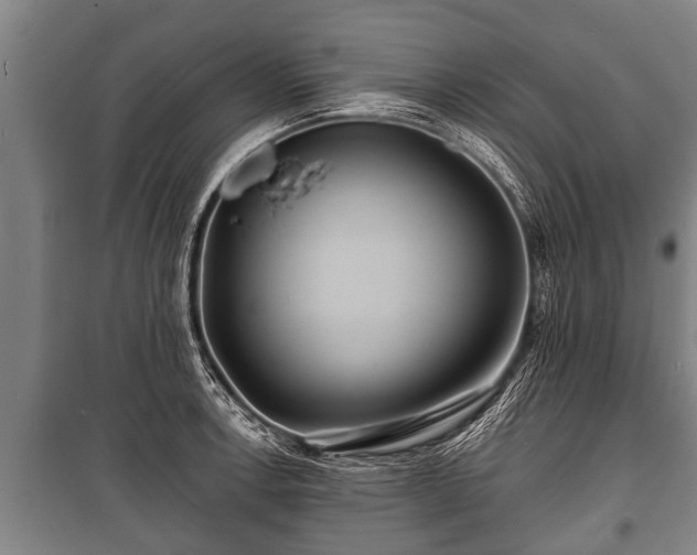 X0000100841138200806271106