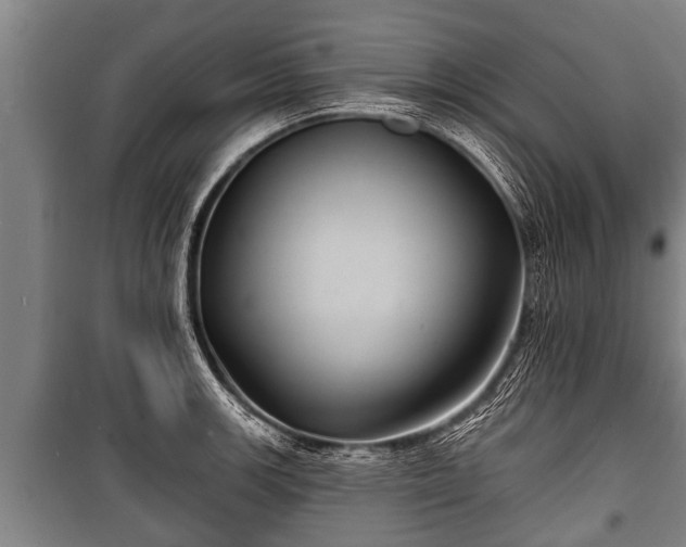 X0000100841139200806271106