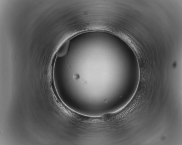 X0000100841140200806271106