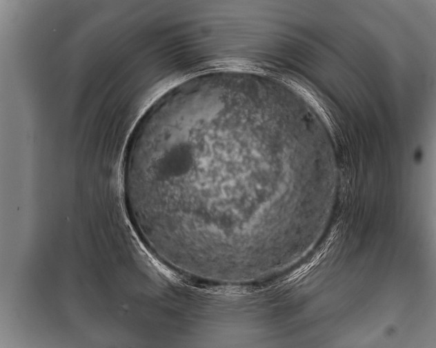 X0000100841141200806271106