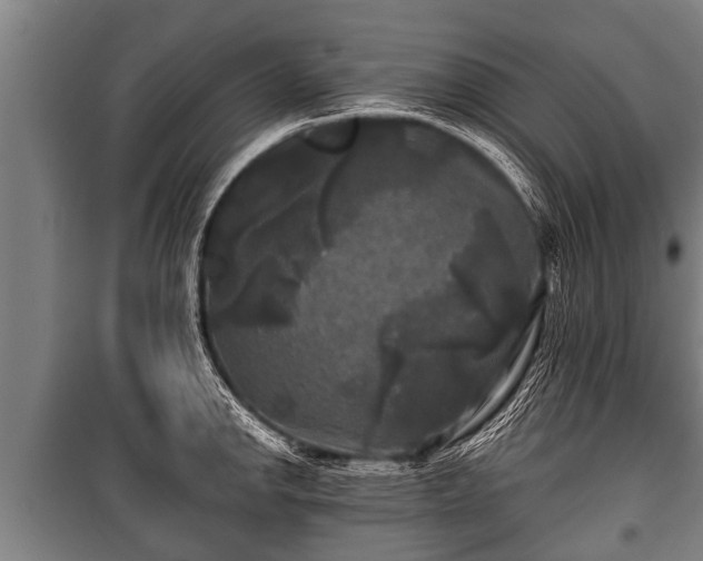 X0000100841142200806271106