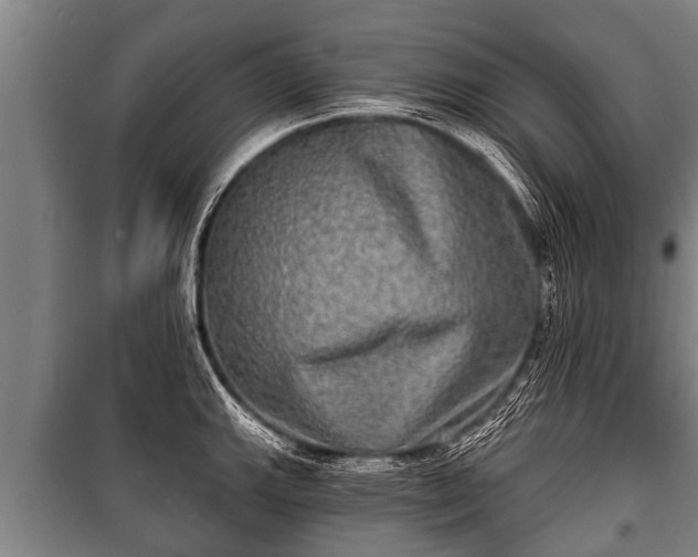 X0000100841143200806271106