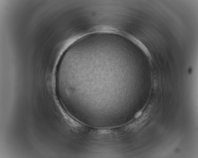 X0000100841144200806271106