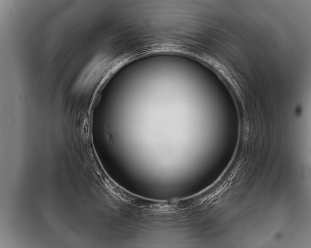 X0000100841145200806271106