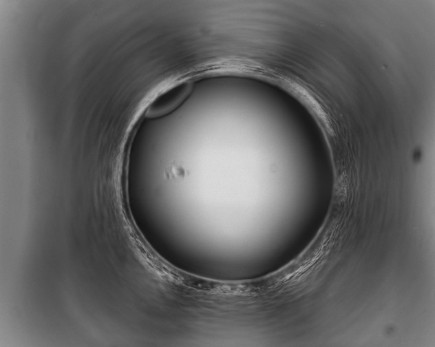 X0000100841146200806271106