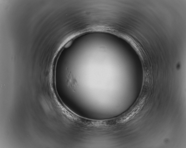 X0000100841147200806271106