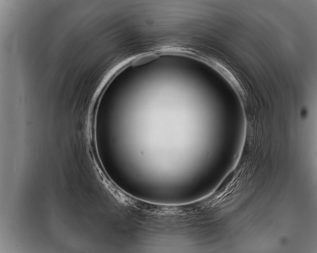 X0000100841148200806271106