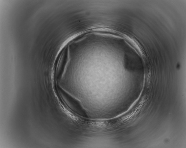 X0000100841149200806271106