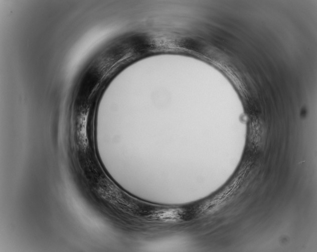 X0000100841150200806271106