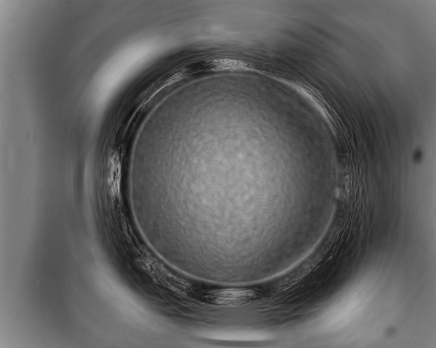 X0000100841151200806271106