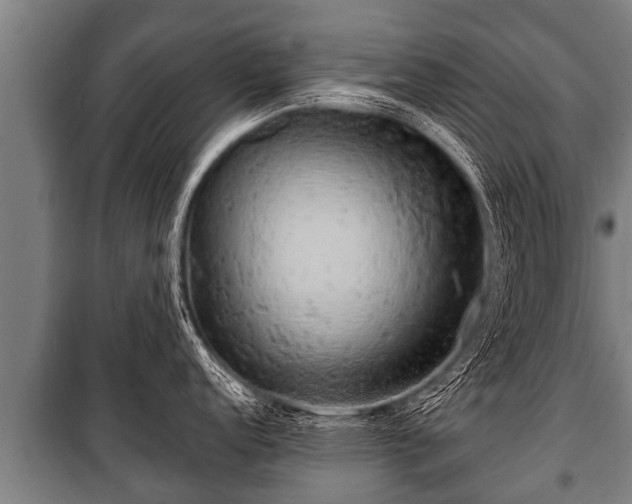 X0000100841152200806271106