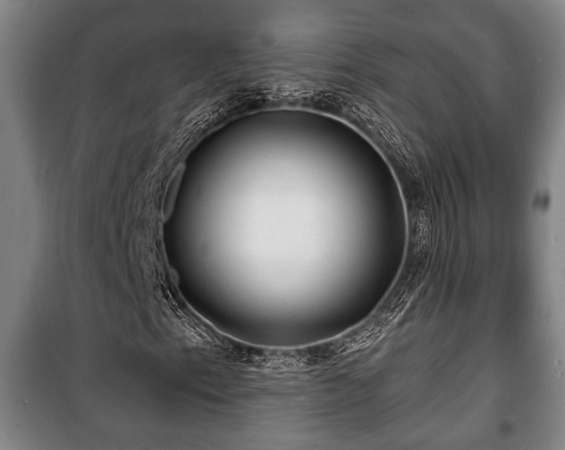 X0000100841153200806271106