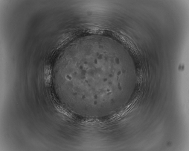 X0000100841154200806271106