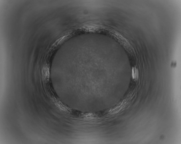 X0000100841155200806271106