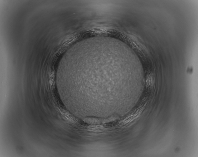 X0000100841156200806271106