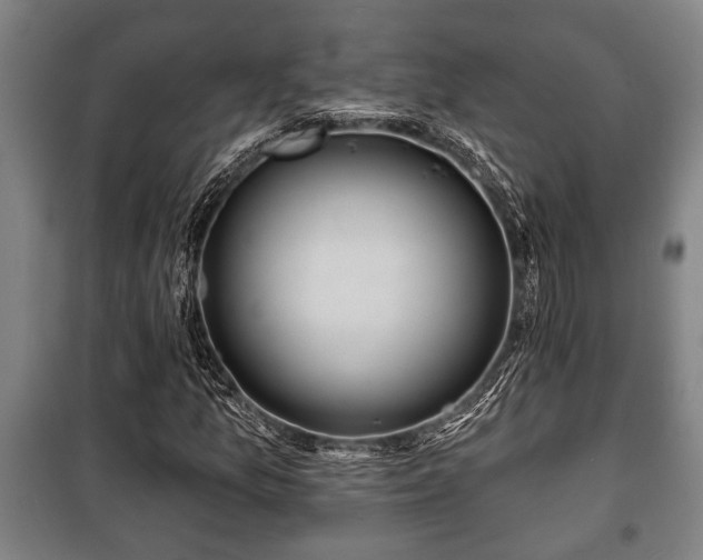 X0000100841157200806271106