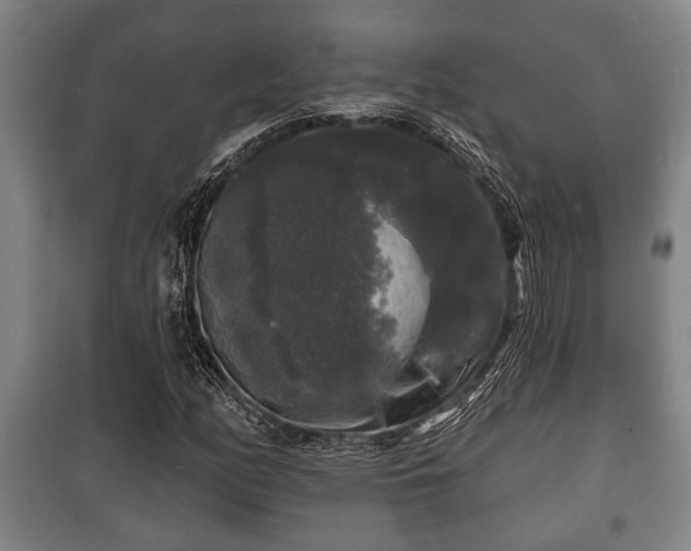 X0000100841158200806271106