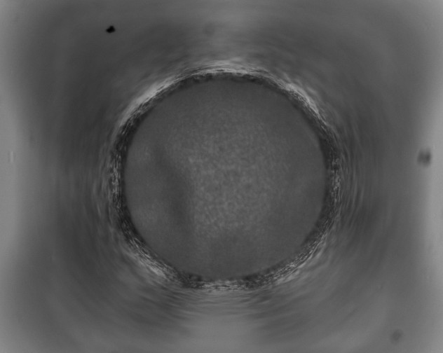 X0000100841159200806271106