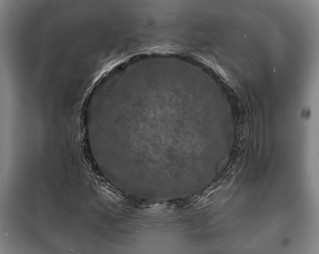 X0000100841160200806271106