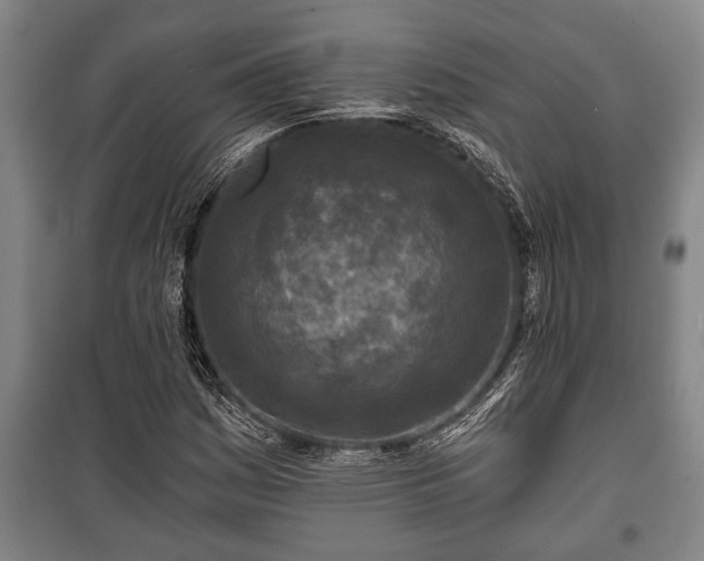 X0000100841161200806271105