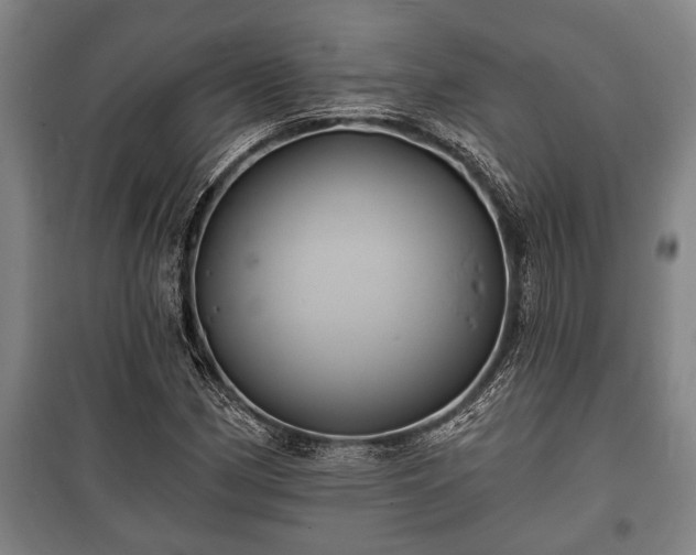 X0000100841162200806271105