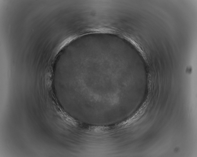 X0000100841163200806271105