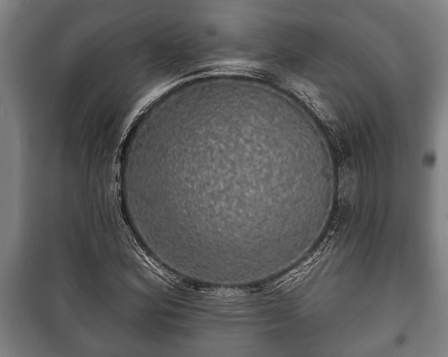 X0000100841164200806271105