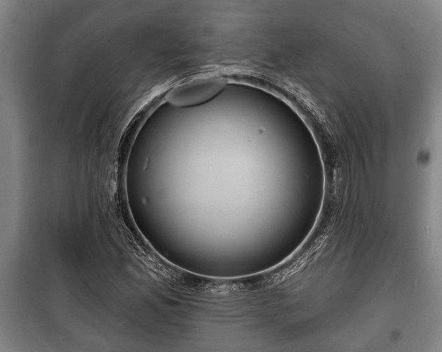 X0000100841165200806271105