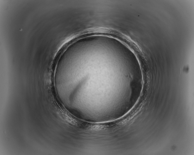 X0000100841166200806271105