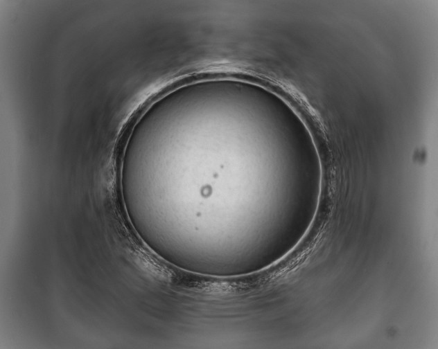 X0000100841167200806271105