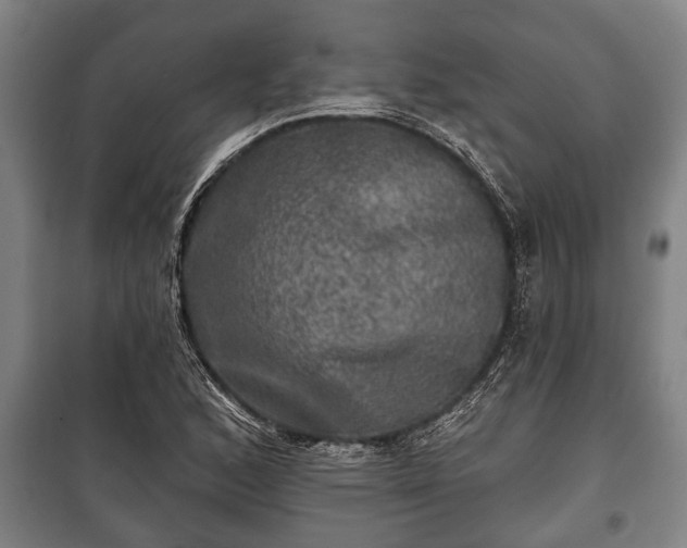 X0000100841168200806271105