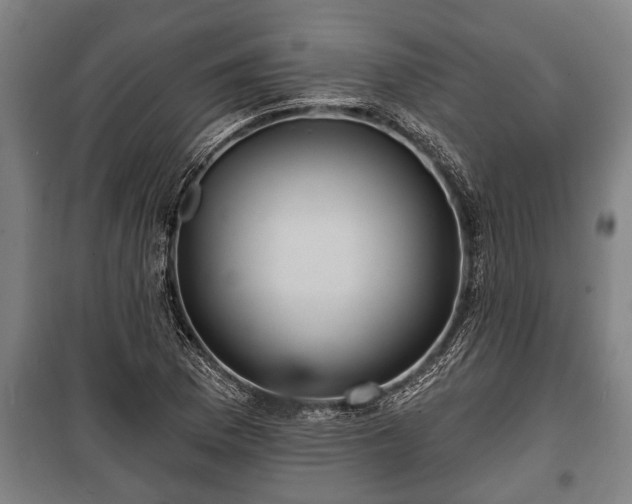 X0000100841169200806271105