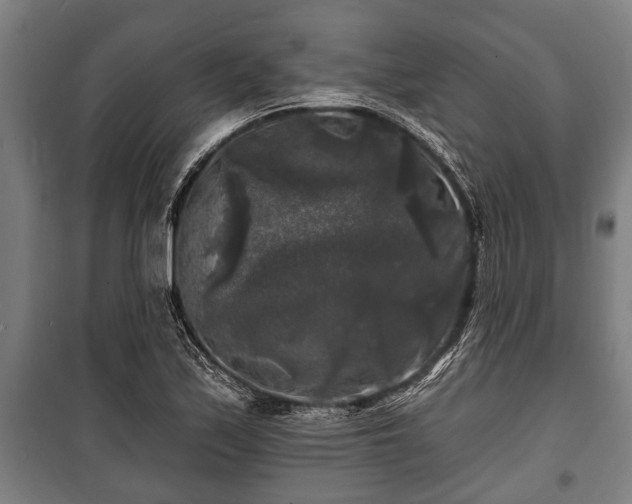 X0000100841171200806271105