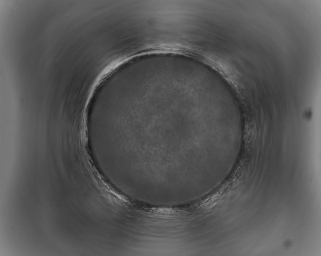 X0000100841172200806271105