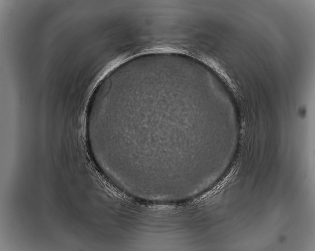 X0000100841173200806271105