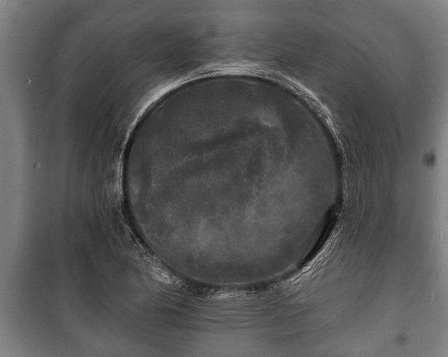 X0000100841174200806271105