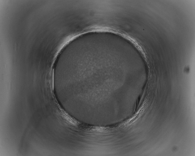 X0000100841175200806271105