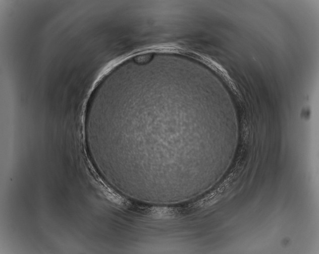 X0000100841176200806271105