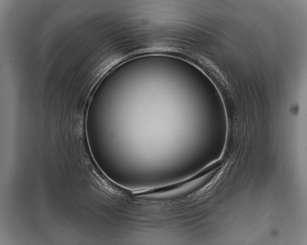 X0000100841177200806271105