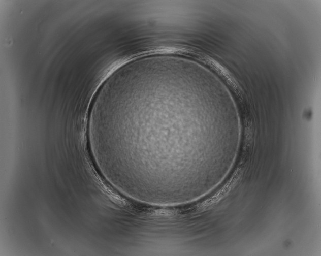 X0000100841178200806271105