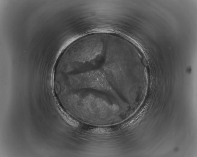 X0000100841179200806271105