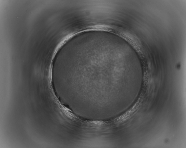 X0000100841180200806271105