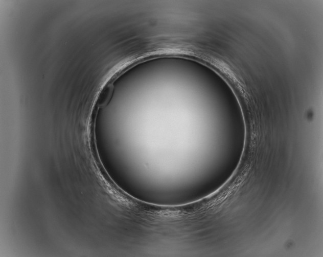 X0000100841181200806271105