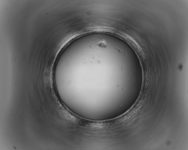 X0000100841182200806271105