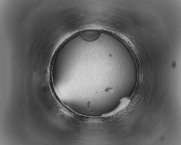 X0000100841183200806271105