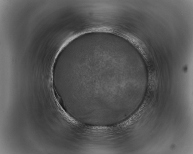 X0000100841184200806271105