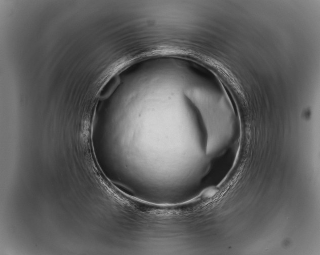 X0000100841185200806271105