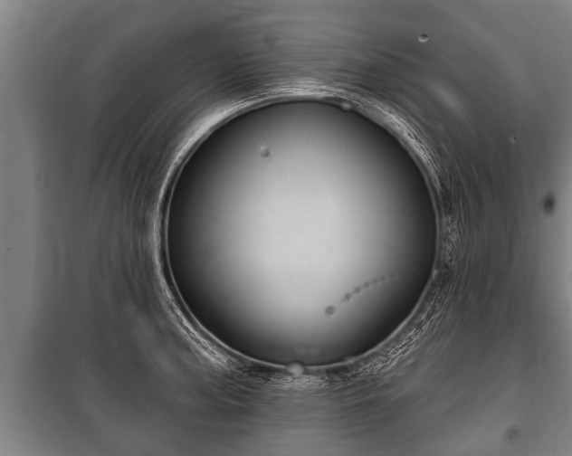 X0000100841187200806271105