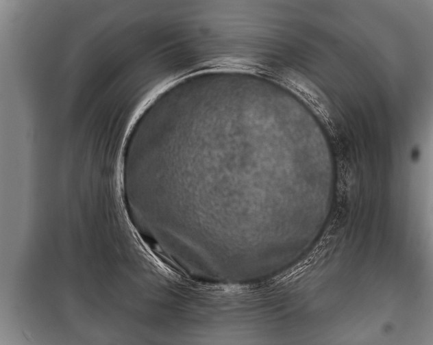 X0000100841188200806271105