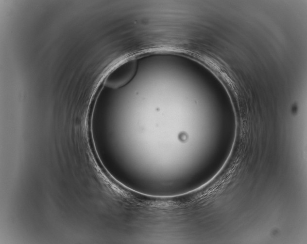 X0000100841189200806271105